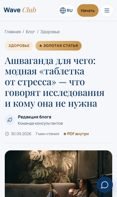 Статья блога